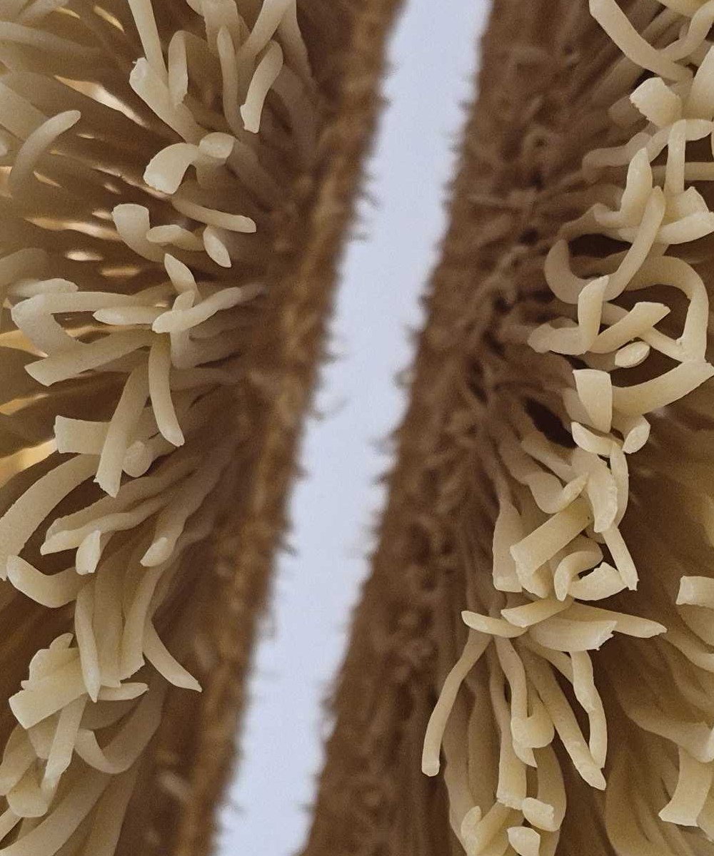 Schonend luftgetrocknet